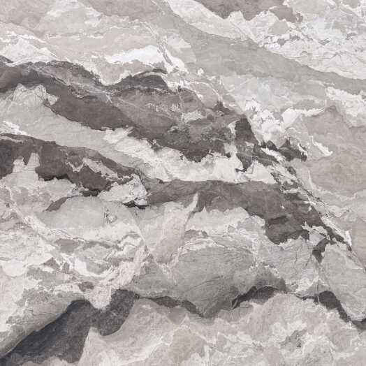 Camouflage Brown Web